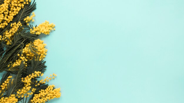 Branches de fleurs jaunes dispersées sur la table