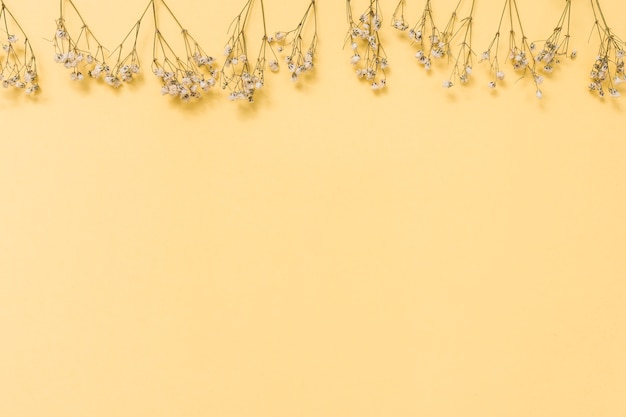 Branches de petites fleurs dispersées sur une table jaune