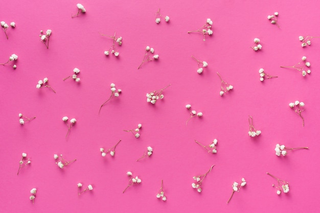 Branches de petites fleurs dispersées sur une table rose