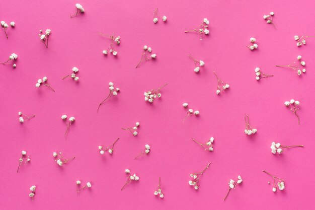 Branches de petites fleurs dispersées sur une table rose