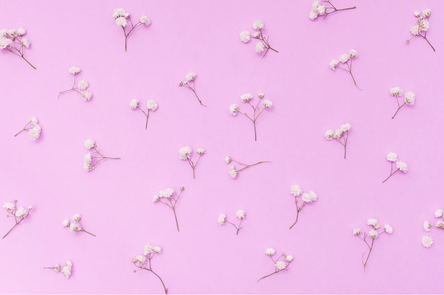 Branches de petites fleurs dispersées sur la table