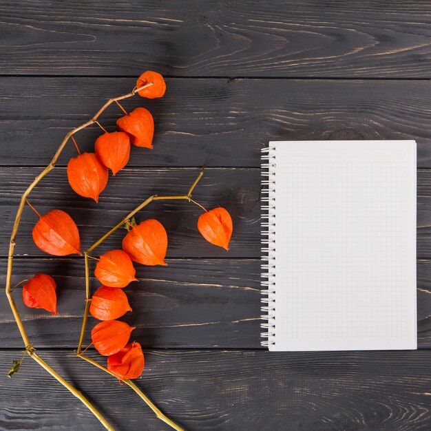 Branches Physalis avec cahier sur table