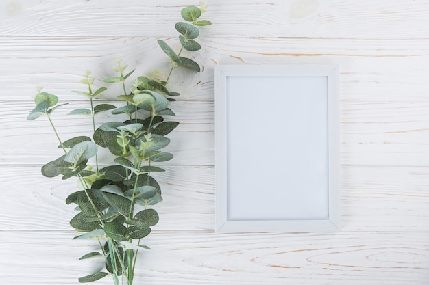 Branches de plantes vertes avec cadre vide sur la table