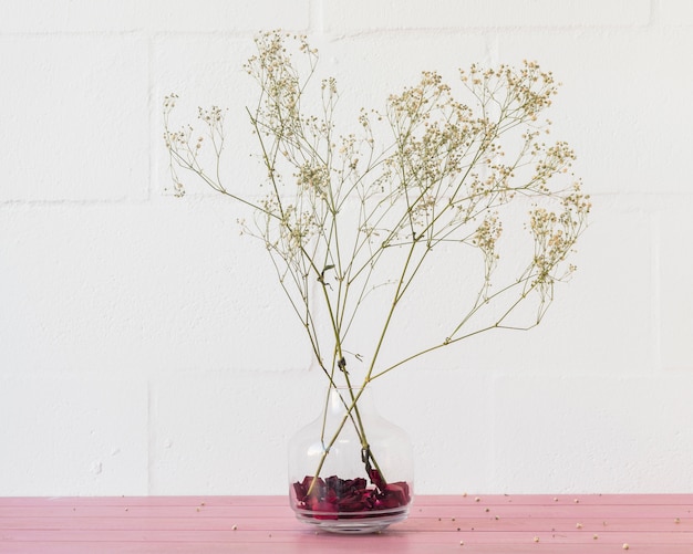 Photo gratuite branches de plantes vertes dans un vase près du mur