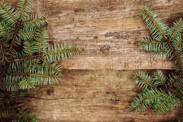 Branches de sapin sur la table