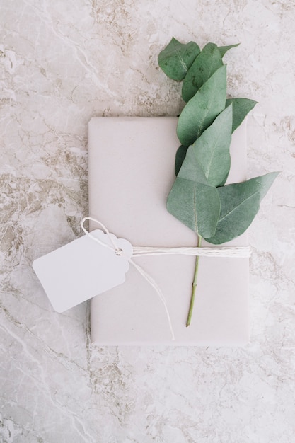 Brindille et cadeau enveloppés de papier blanc noué avec une étiquette vierge