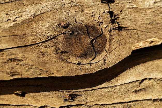 Brique de bois fissurée