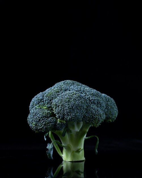 Brocoli frais