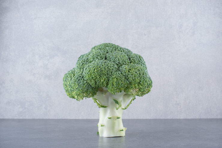Photo gratuit brocoli vert isolé sur une surface grise