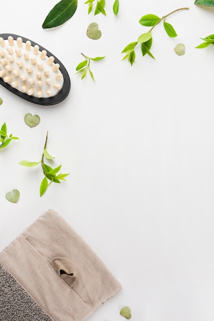 Brosse de massage; feuilles; et luffa sur fond blanc