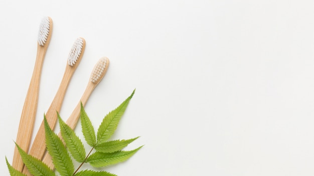 Brosses à dents pour copie