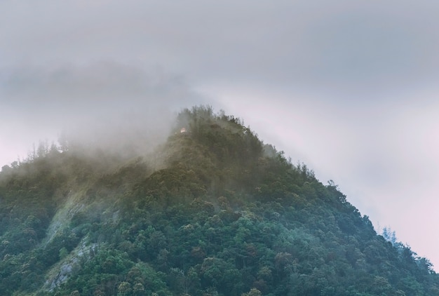 Photo gratuite brouillard couvrant le sommet de la montagne des ghâts occidentaux, district de kanyakumari, inde