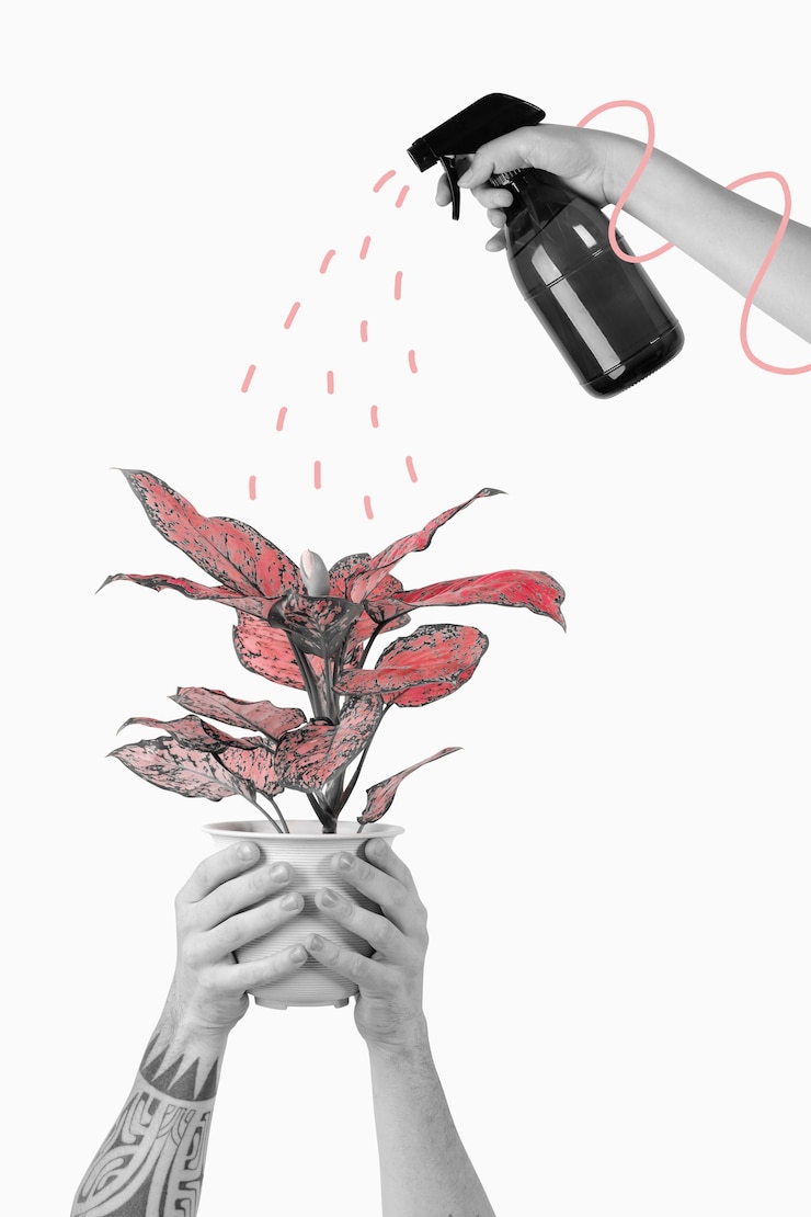 Photo gratuit brumisation d'un graphique d'illustration de remix de plantes d'intérieur