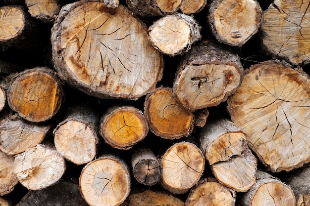 Photo gratuite bûche de bois coupé de fond