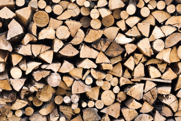 Des bûches de bois coupées et empilées