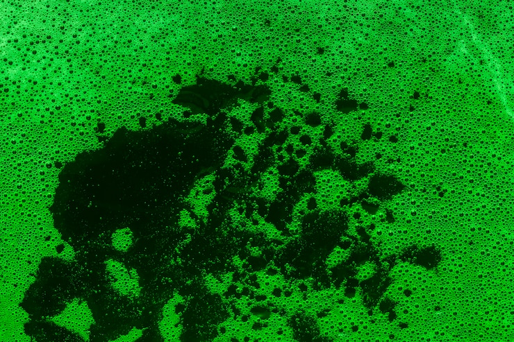 Photo gratuit bulles et liquide de couleur verte