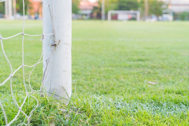 But de football football champ d&#39;herbe verte