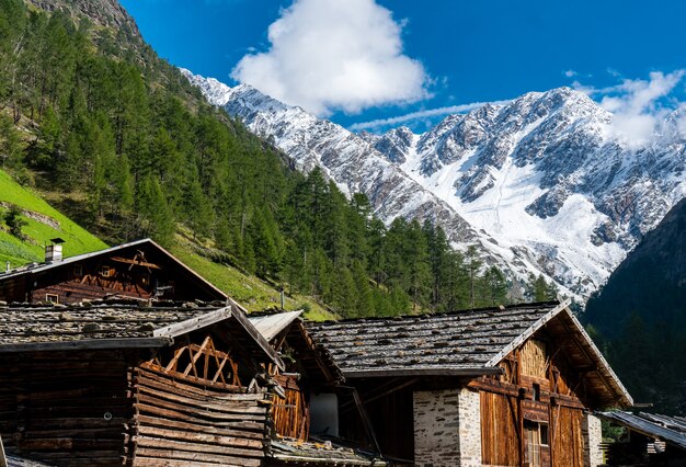 Cabanes dans la nature