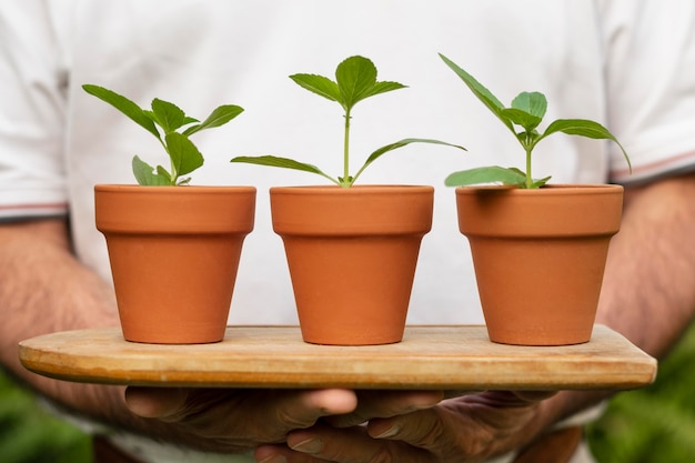 Cache-pot avec bec planté