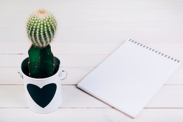 Cactus en coupe près du bloc-notes en spirale vierge sur un bureau en bois