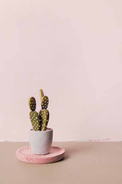 Cactus décoratif à l&#39;intérieur d&#39;un vase minimal