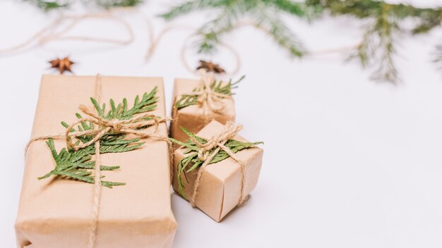 Cadeaux de Noël enveloppés de brindilles de sapin