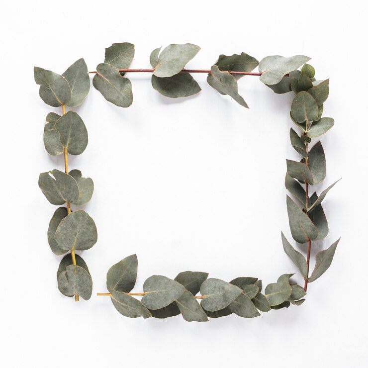 Photo gratuit cadre de branches de plantes sur la table