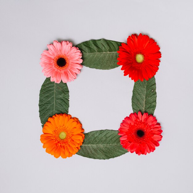 Cadre carré composé de boutons de fleurs et de feuilles