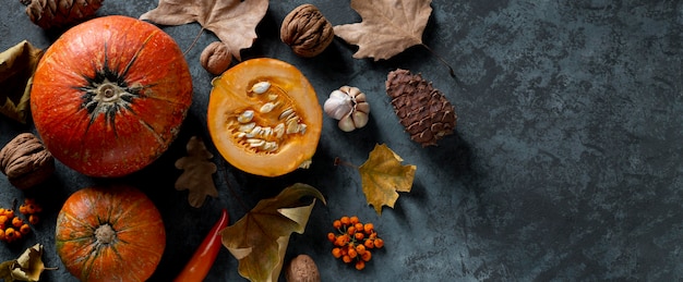 Cadre de citrouilles vue de dessus avec espace copie