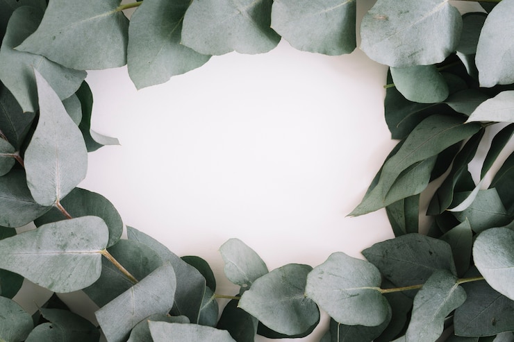 Photo gratuit cadre fabriqué avec des feuilles sur fond blanc