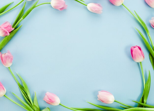 Cadre fabriqué à partir de tulipes sur une table bleue