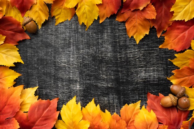 Cadre de feuilles colorées à plat