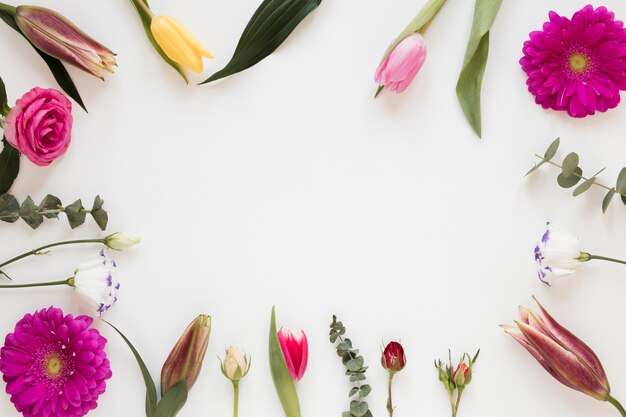 Cadre de feuilles et de fleurs avec fond d'espace copie blanche