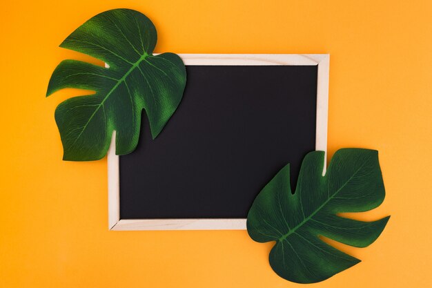 Photo gratuite cadre avec feuilles tropicales