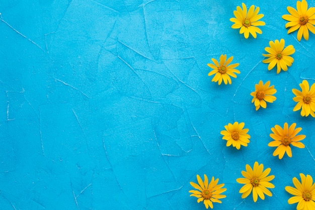 Cadre de fleurs de chardon huître espagnol sur fond bleu