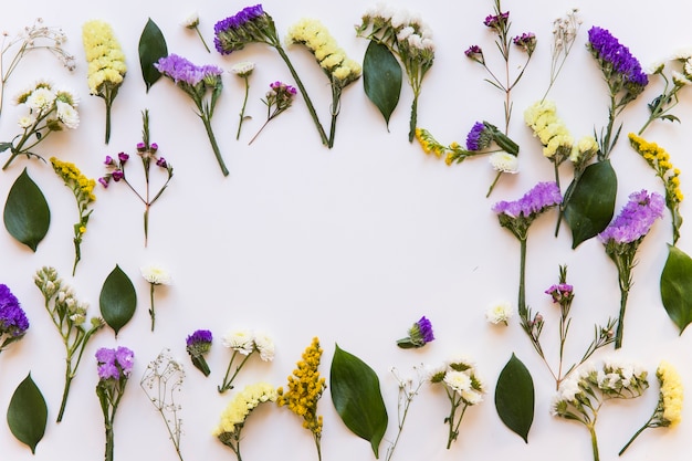 Photo gratuite cadre de fleurs de différentes couleurs