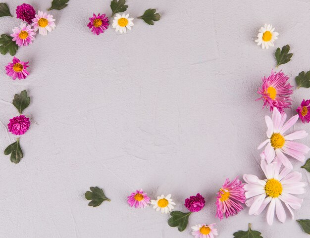 Cadre de fleurs et feuilles sur table lumineuse