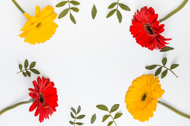 Cadre de fleurs de gerbera et feuilles vertes