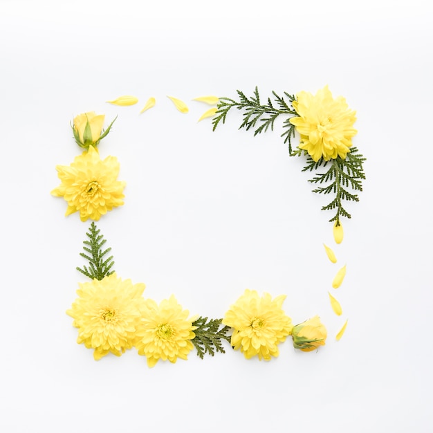 Cadre de fleurs jaunes et de feuilles