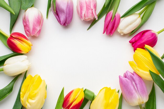 Cadre de fleurs de tulipes vue de dessus