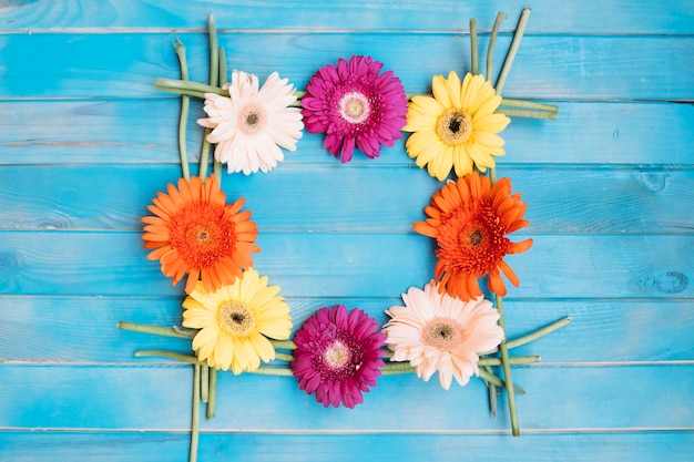Photo gratuite cadre floral de différentes couleurs