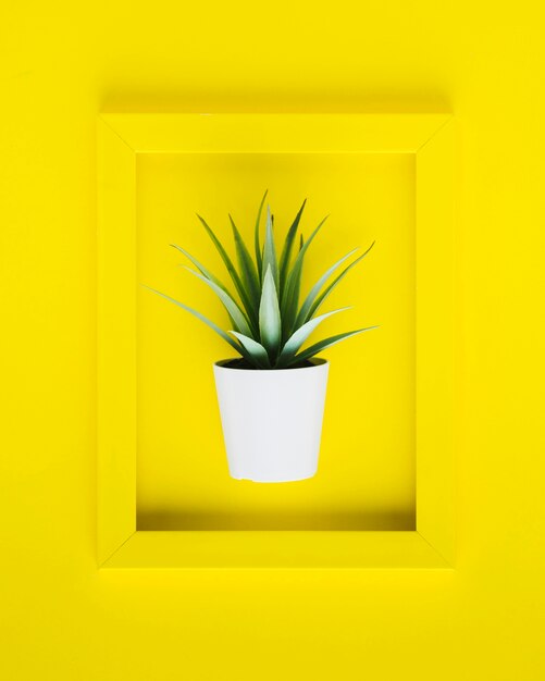 Cadre jaune plat avec plante à l'intérieur
