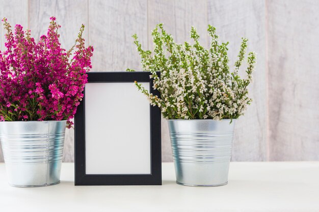 Cadre photo blanc entre les fleurs roses et blanches dans un pot en aluminium