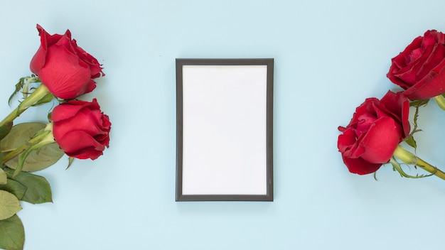 Cadre photo entre fleurs rouges