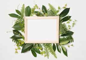 Photo gratuite cadre photo entre plantes vertes