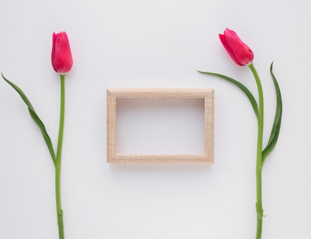 Photo gratuite cadre photo près de fleurs roses sur des tiges vertes