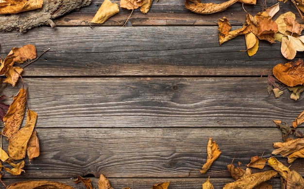 Cadre plat avec feuilles séchées et espace de copie