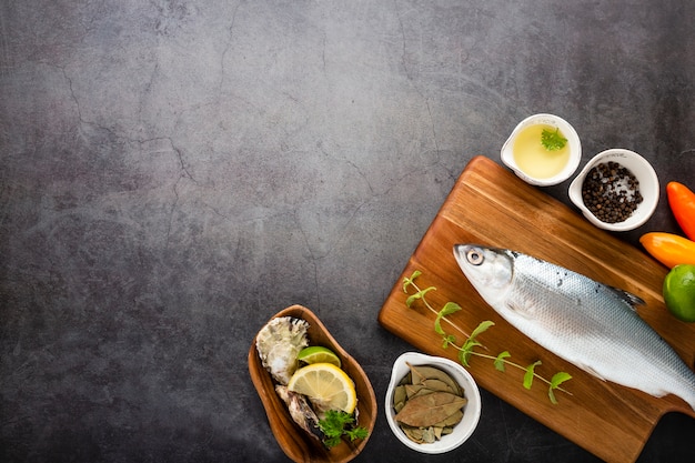 Cadre plat avec poisson et sauce