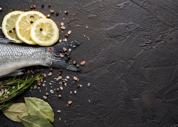 Cadre de poisson vue de dessus avec des herbes et copie-espace