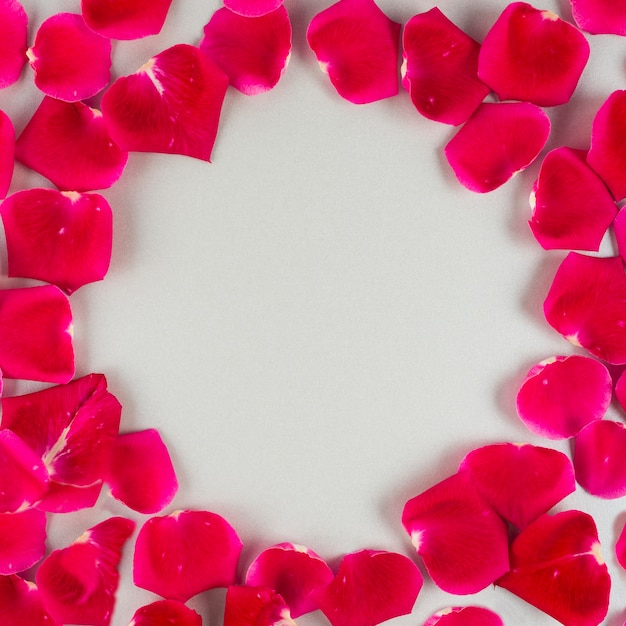 Cadre rond de pétales de rose rouges